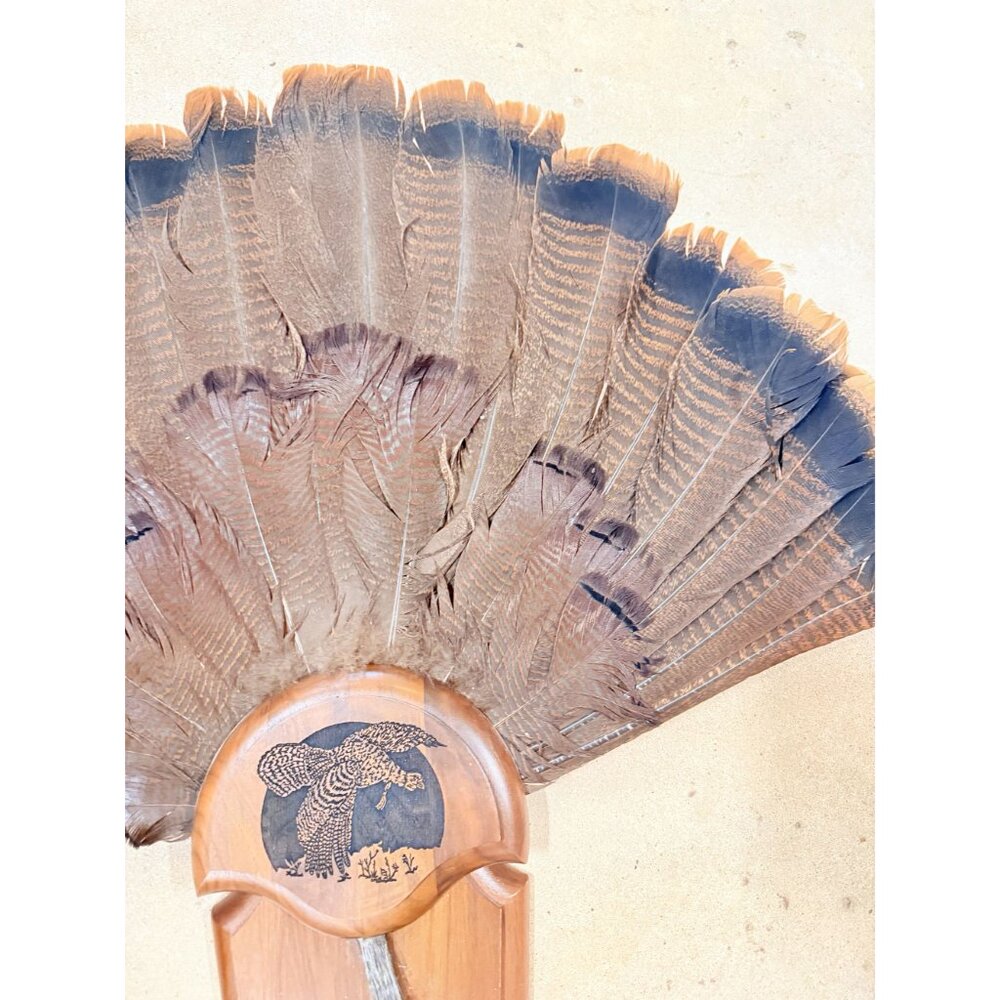 Hunting Mount Wild Turkey Hunt Trophy Tail Beard Mount 29” Wood Plaque Panel Tax - Picture 6 of 12